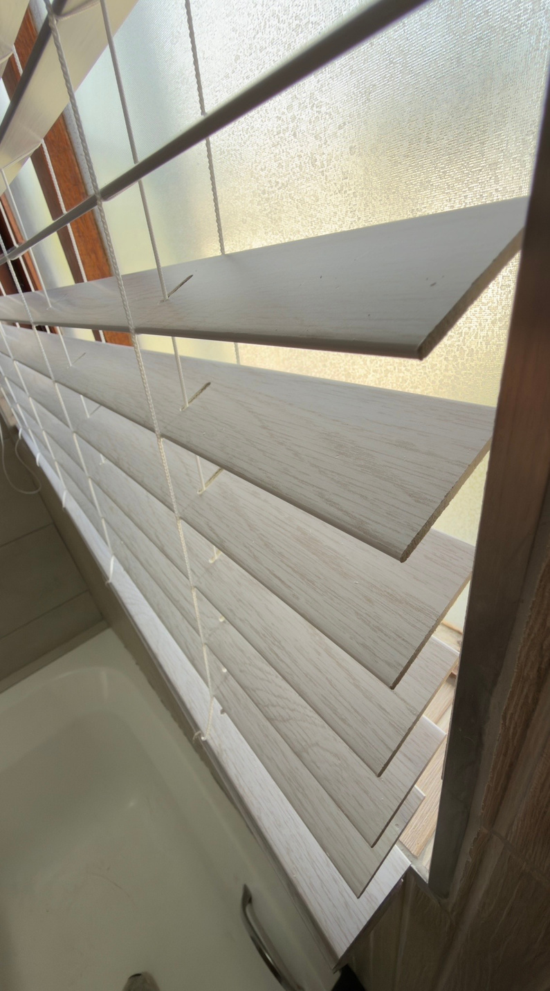 Plaswood Blinds