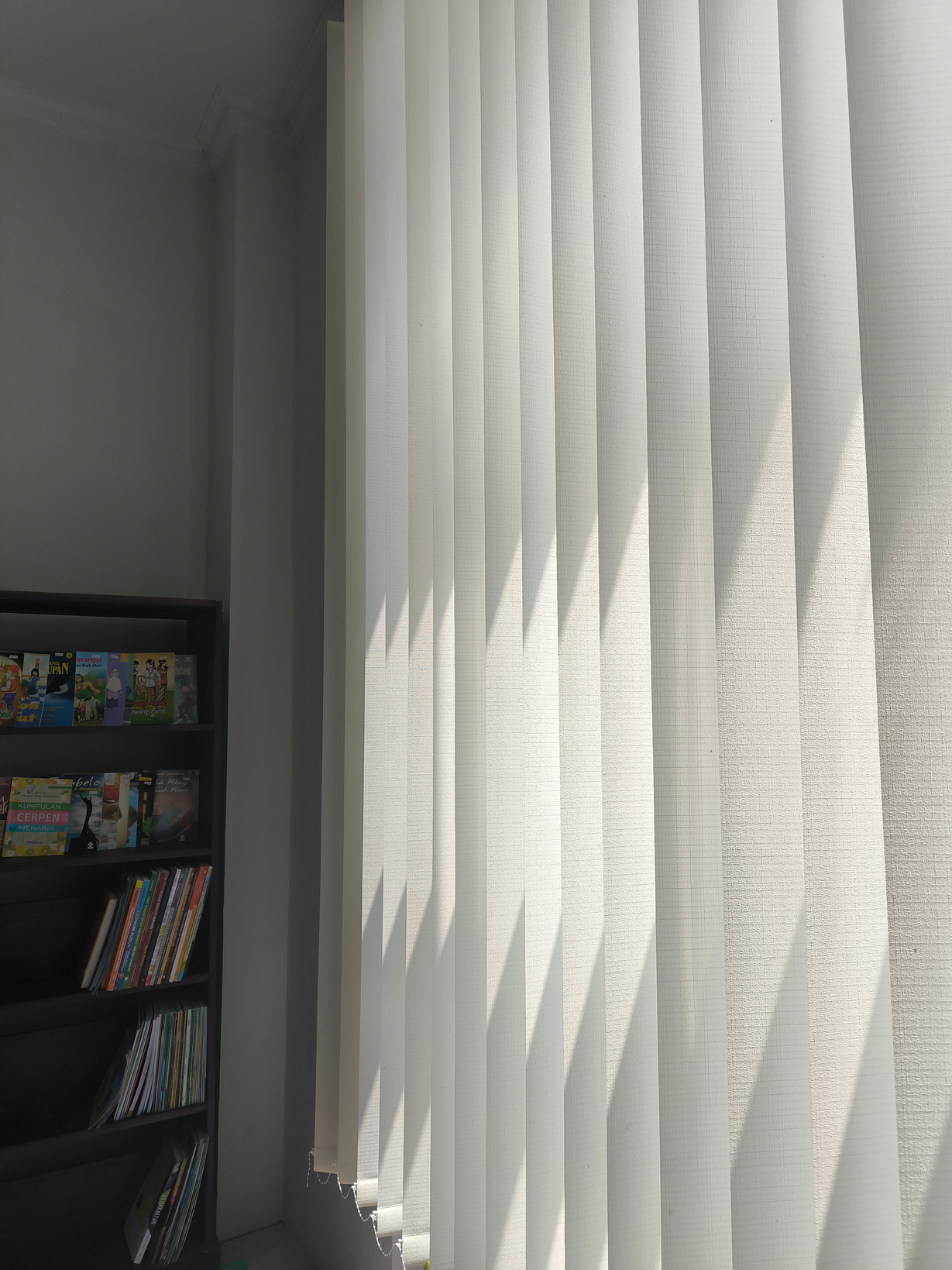 Vertical Blinds